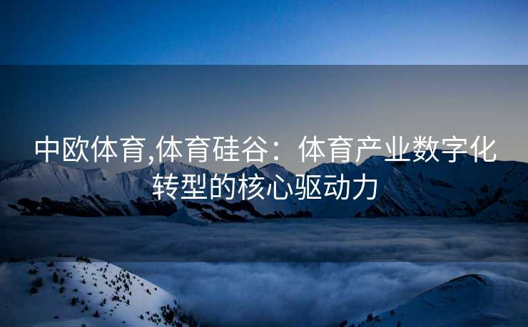 中欧体育,体育硅谷：体育产业数字化转型的核心驱动力