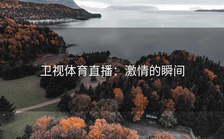 卫视体育直播：激情的瞬间