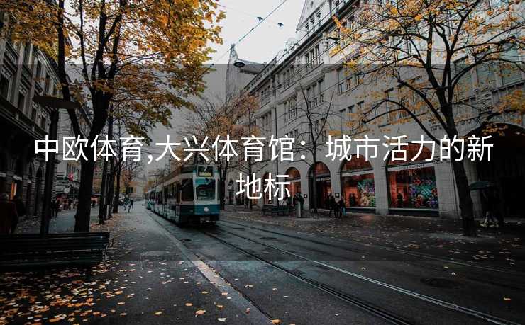 中欧体育,大兴体育馆:城市活力的新地标