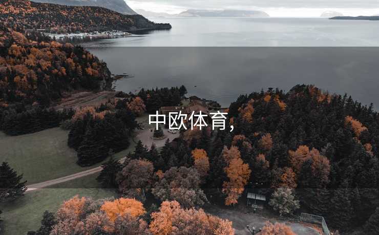 中欧体育,