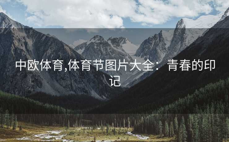 中欧体育,体育节图片大全:青春的印记