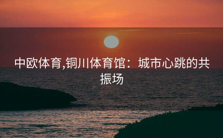 中欧体育,铜川体育馆：城市心跳的共振场
