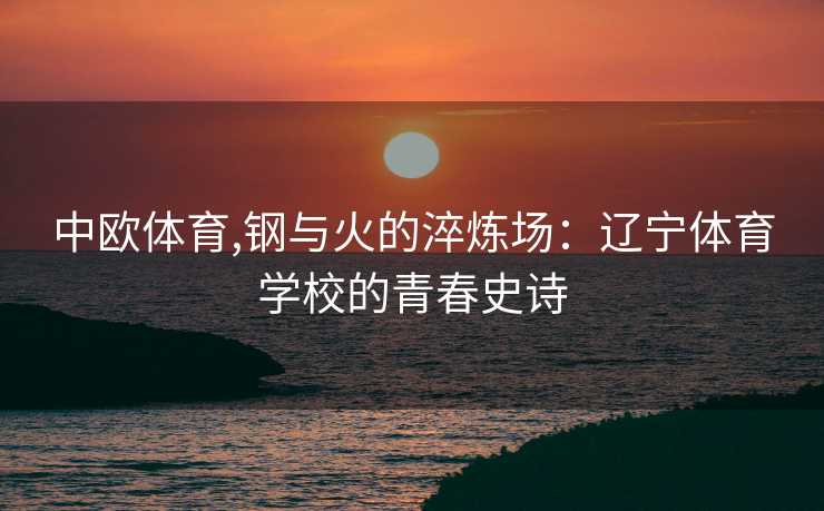 中欧体育,钢与火的淬炼场：辽宁体育学校的青春史诗