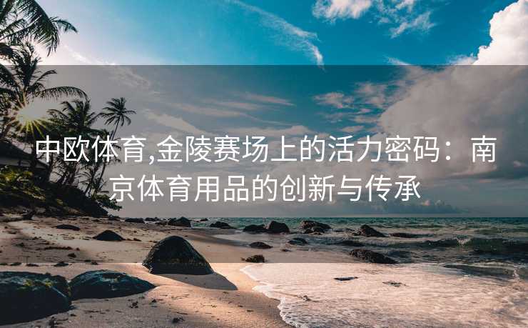 中欧体育,金陵赛场上的活力密码：南京体育用品的创新与传承