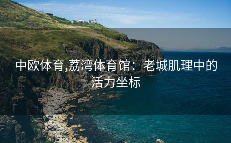 中欧体育,荔湾体育馆：老城肌理中的活力坐标