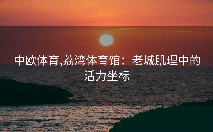 中欧体育,荔湾体育馆：老城肌理中的活力坐标