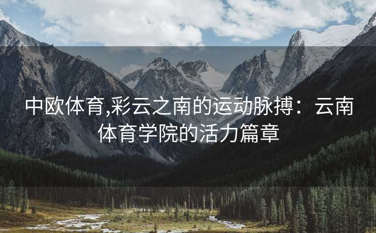 中欧体育,彩云之南的运动脉搏：云南体育学院的活力篇章