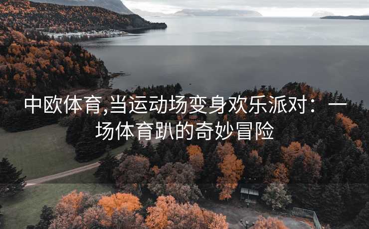中欧体育,当运动场变身欢乐派对：一场体育趴的奇妙冒险