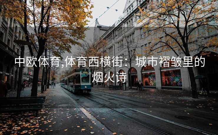 中欧体育,体育西横街：城市褶皱里的烟火诗