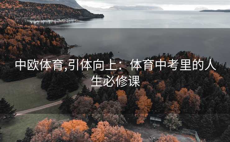 中欧体育,引体向上：体育中考里的人生必修课