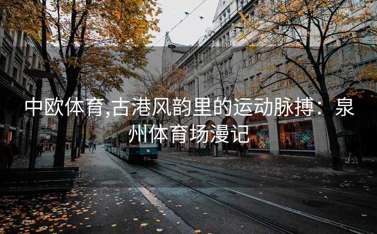 中欧体育,古港风韵里的运动脉搏:泉州体育场漫记