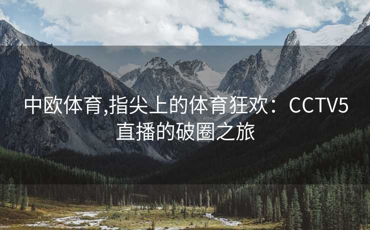 中欧体育,指尖上的体育狂欢：CCTV5直播的破圈之旅