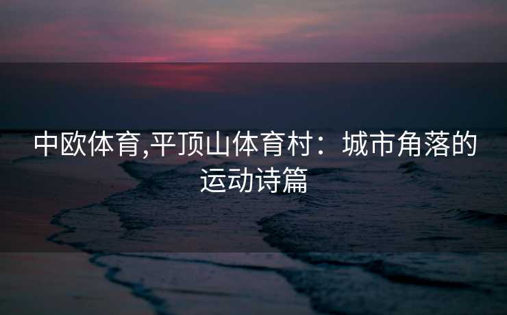 中欧体育,平顶山体育村：城市角落的运动诗篇