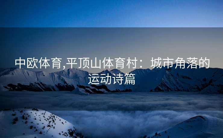 中欧体育,平顶山体育村：城市角落的运动诗篇