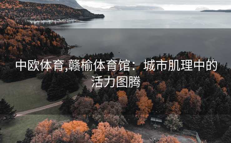 中欧体育,赣榆体育馆：城市肌理中的活力图腾