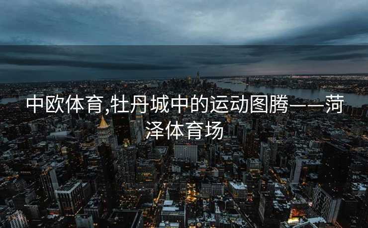 中欧体育,牡丹城中的运动图腾——菏泽体育场