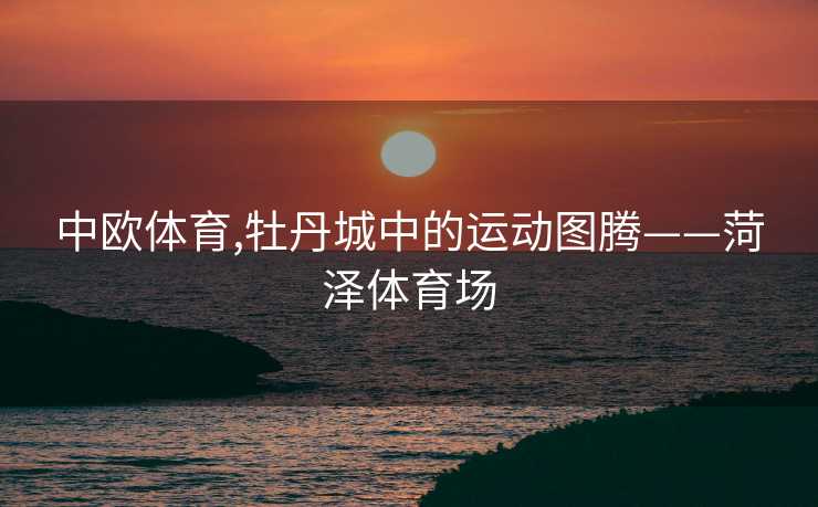 中欧体育,牡丹城中的运动图腾——菏泽体育场