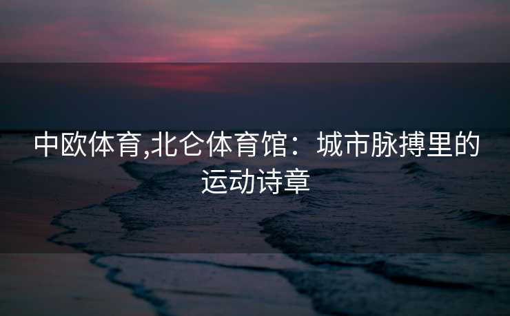 中欧体育,北仑体育馆：城市脉搏里的运动诗章