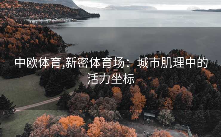 中欧体育,新密体育场：城市肌理中的活力坐标